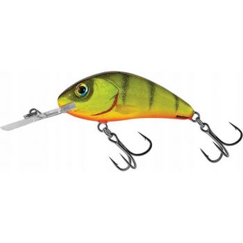 WOBLER SALMO H55 RATTLIN PŁYWAJĄCY 5,5cm HOT PERCH
