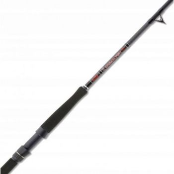 WĘDKA UNI CAT DREAM FISH PRO 3,00m 600g SUMOWA