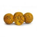 KULKI TANDEM BAITS EURO BOILIES 16mm 1kg KUKURYDZA