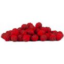 WAFTERS MATCH PRO TOP WORMS DUO F1 FISH 8mm 20g