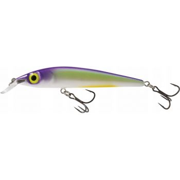 WOBLER SALMO RS9 RATTLIN STING SUSPENDING 9cm TRS