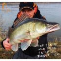 GUMA SAVAGE GEAR 3D FAT MINNOW 7,5cm 5g MINNOW