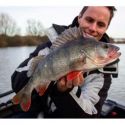 GUMA SAVAGE GEAR 3D FAT MINNOW 7,5cm 5g MINNOW
