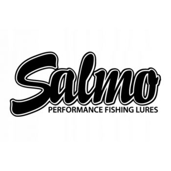 WOBLER SALMO SD10S SLIDER SINKING 10cm 46g MIRROR