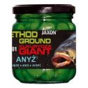 KUKURYDZA JAXON GIGANT METHOD GROUND 125g ANYŻ