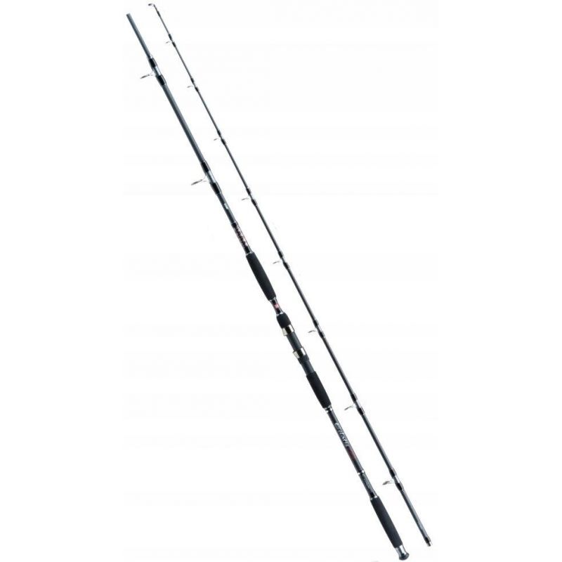 WĘDKA JAXON ECLATIS CAT FISH 3,00m 550g CATFISH WĘDKA JAXON ECLATIS CAT FISH 3,00m 550g CATFISH