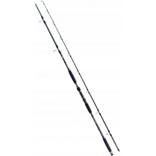 WĘDKA JAXON ECLATIS CAT FISH 3,00m 550g CATFISH WĘDKA JAXON ECLATIS CAT FISH 3,00m 550g CATFISH