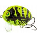 WOBLER SALMO SMUŻAK BG3 LIL'BUG WASP 3cm PŁYWAJĄCY