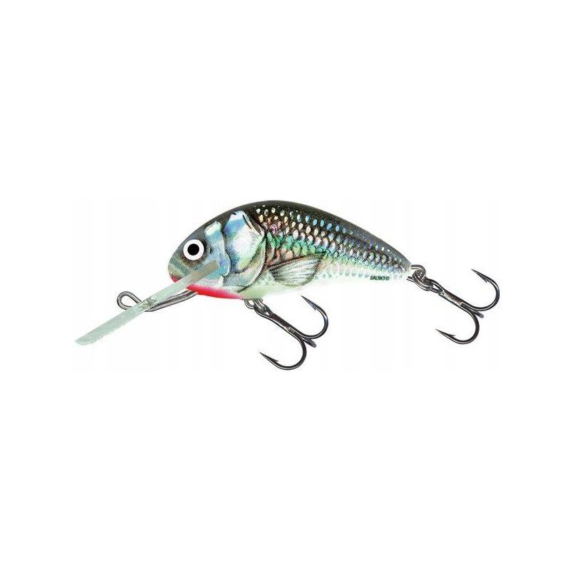 WOBLER SALMO H9F HORNET FLOATING 9cm 36g HOLOGRAPH WOBLER SALMO H9F HORNET FLOATING 9cm 36g HOLOGRAPH