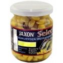 KUKURYDZA JAXON FJ-SK03 TRUSKAWKA