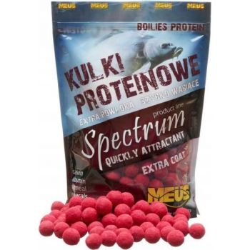 KULKI ZANĘTOWE MEUS...