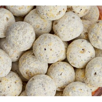 KULKI ZANĘTOWE MEUS FOCUS 1kg 18mm SKISŁE MASŁO