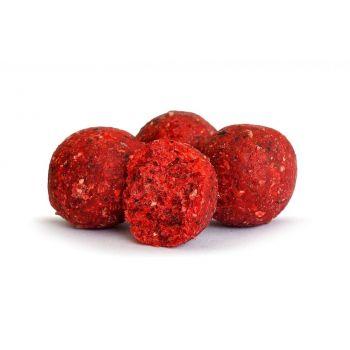 KULKI TANDEM BAITS EURO BOILIES 16mm 1kg TRUSKAWKA