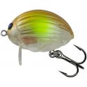 WOBLER SALMO LIL' BUG 2cm CLEAR AYU PŁYWAJĄCY