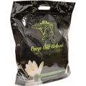 ZIARNO CARP OLD SCHOOL ZANĘTOWE MIX 5kg ANANAS 