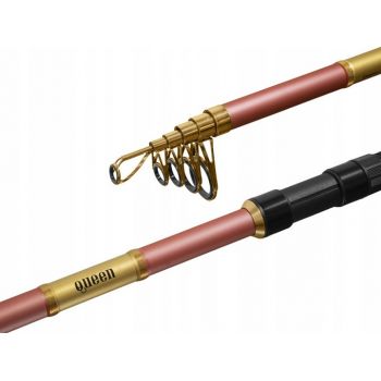 WĘDKA DELPHIN QUEEN TELE 300cm 3.00m 100g