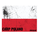 ZESTAW 14 NAKLEJEK UNDER CARP 