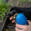 RĘKAWICA NASH OCHRONNA SPOT ON CASTING GLOVE RIGHT