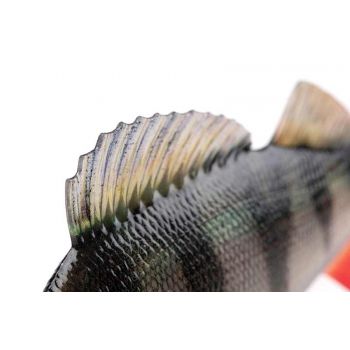 GUMA FOX RAGE 18cm UZBROJONA ULTRA REALISTIC PERCH 98g