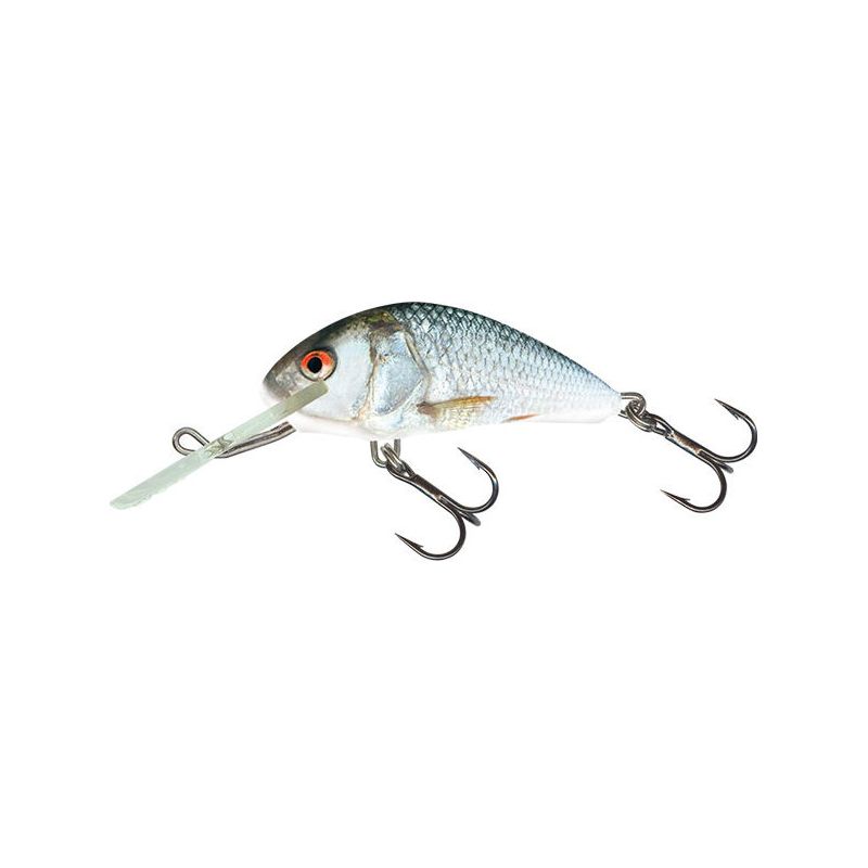 WOBLER SALMO H4S HORNET REAL DACE 4cm TONĄCY