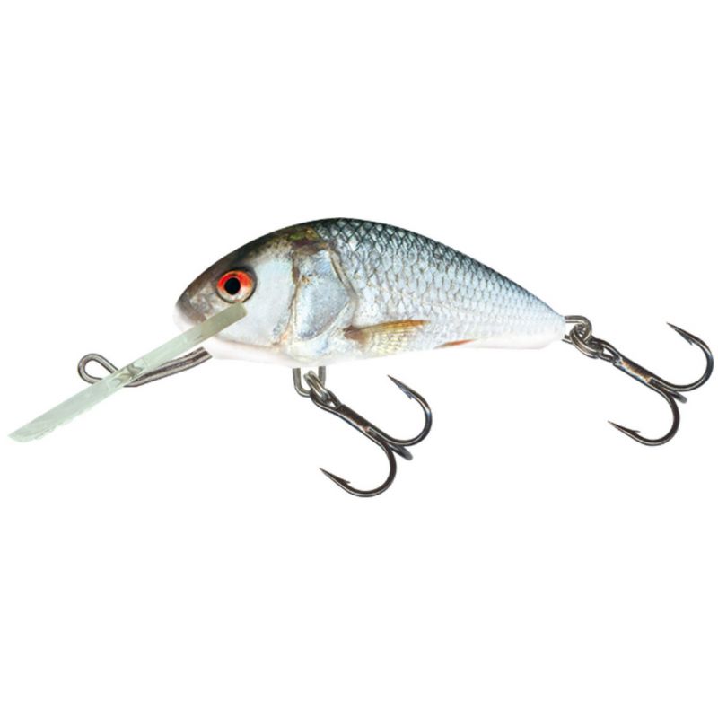 WOBLER SALMO H6S HORNET REAL DACE 6cm TONĄCY WOBLER SALMO H6S HORNET REAL DACE 6cm TONĄCY