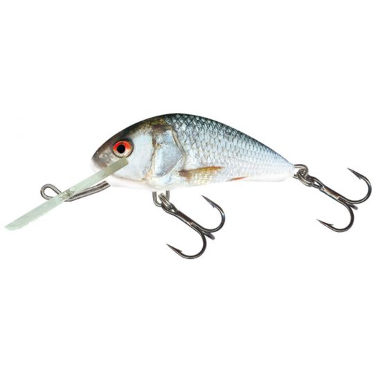 WOBLER SALMO H6S HORNET REAL DACE 6cm TONĄCY WOBLER SALMO H6S HORNET REAL DACE 6cm TONĄCY