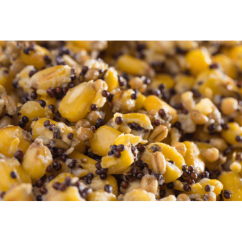 MIX ZIAREN MIVARDI PARTICLE MIX 1kg 