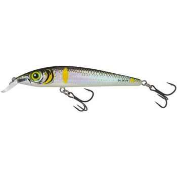 WOBLER SALMO RATTLIN 9cm...