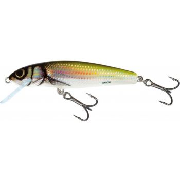 WOBLER SALMO MINNOW M6F 6cm...