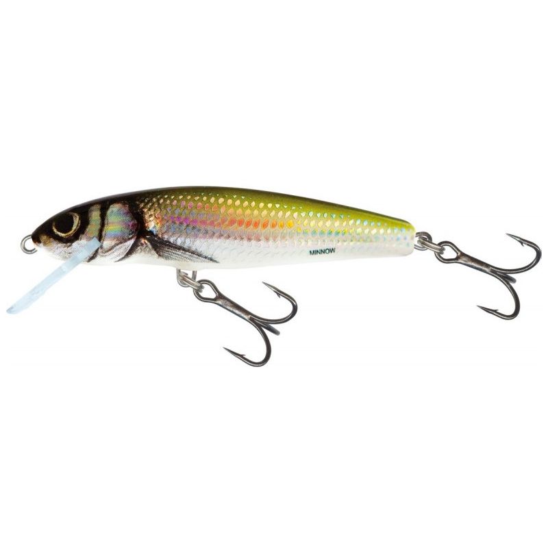 WOBLER SALMO MINNOW M6F 6cm HOLO BLEAK PŁYWAJĄCY