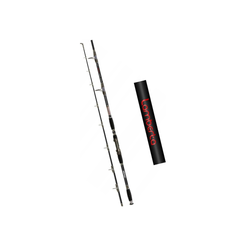 WĘDKA MISTRALL LAMBERTA CATFISH EX HEAVY 3,15m 500