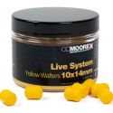 DUMBELLS CC MOORE LIVE SYSTEM YELLOW WAFTERS 10x14
