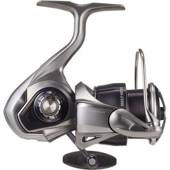 KOŁOWROTEK DAIWA 25 CALDIA LT 4000-C