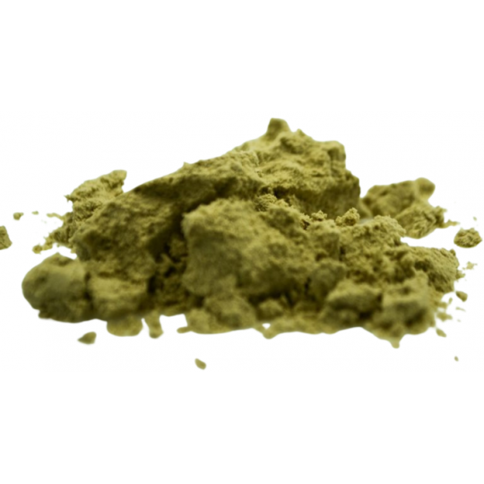 MĄCZKA MASSIVE BAITS PRE-DIGESTED 1kg 