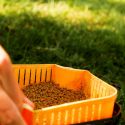 PELLET BAITNOW METHOD FEEDER ORIGINAL COARSE 2mm 