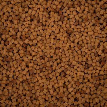 PELLET BAITNOW METHOD FEEDER ORIGINAL COARSE 2mm 