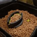 PELLET BAITNOW METHOD FEEDER ORIGINAL COARSE 2mm 