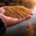 ZANĘTA BAITNOW METHOD FEEDER O'FISH MARINE 800g