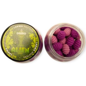 WAFTERS OSMO BIG LARWA...