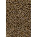 PELLET FEEDER BAIT CLUB SERIES 6mm