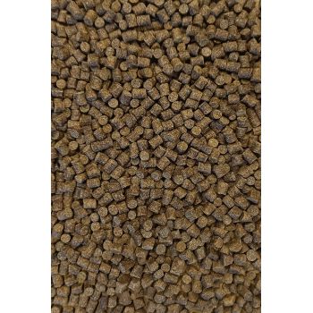 PELLET FEEDER BAIT CLUB SERIES 6mm