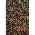 PELLET FEEDER BAIT TUTTI FRUTTI GREEN BLACK RED 4m