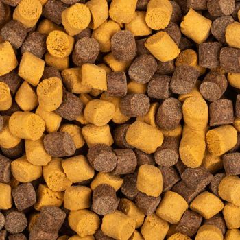 PELLET BAITNOW METHOD FEEDER YELLOW SPIN 8mm 800g