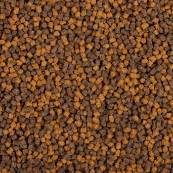 PELLET BAITNOW METHOD FEEDER YELLOW SPIN 2mm 800g