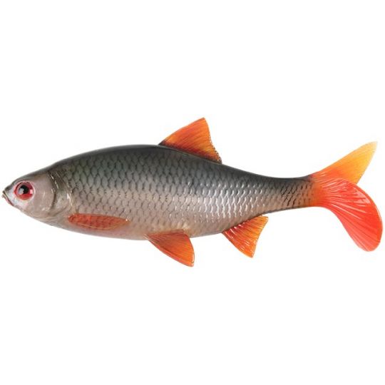 GUMA FOX RAGE 14cm ULTRA REALISTIC REPLICANT ROACH