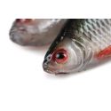 GUMA FOX RAGE 14cm ULTRA REALISTIC REPLICANT ROACH