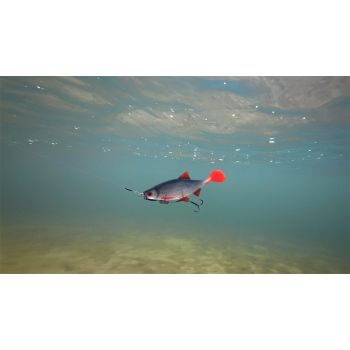 GUMA FOX RAGE 14cm ULTRA REALISTIC REPLICANT ROACH