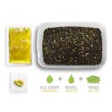 PELLET BOX DELPHIN KUKURYDZA ANANAS + BOOSTER WAFT