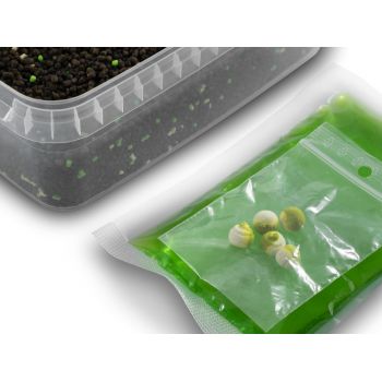 PELLET BOX DELPHIN CZOSNEK KWAS MASŁOWY + BOOSTER