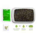 PELLET BOX DELPHIN CZOSNEK KWAS MASŁOWY + BOOSTER